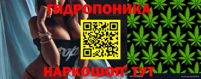 a pvp Кулебаки