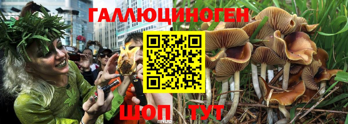 Котельники  Галлюциногенные грибы мухоморы  Вход с VPN 